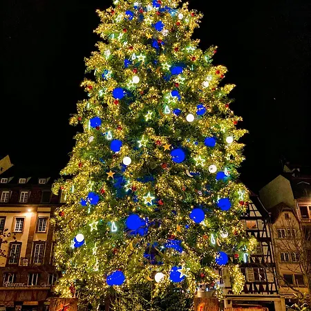 Lägenhet Evasion Mulhousienne Mulhouse